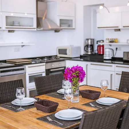 Mavi Manzara Villa *